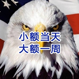 玛多要账公司